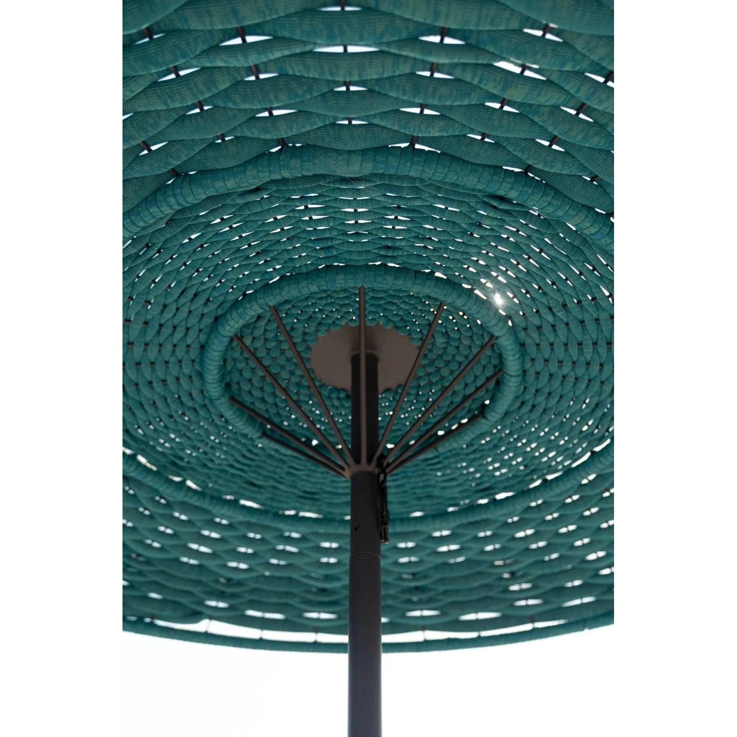 clam-parasol