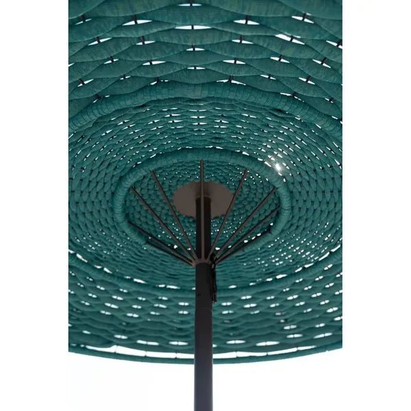 clam-parasol