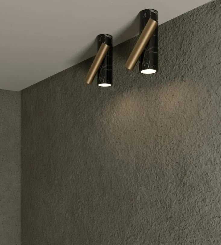 aimed-downlight
