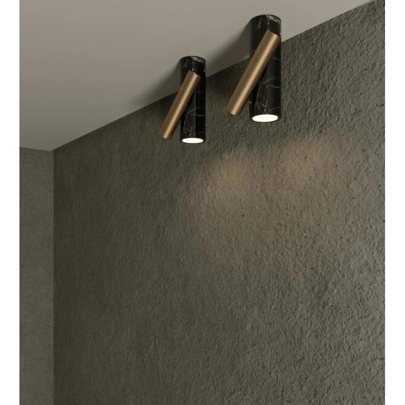 aimed-downlight