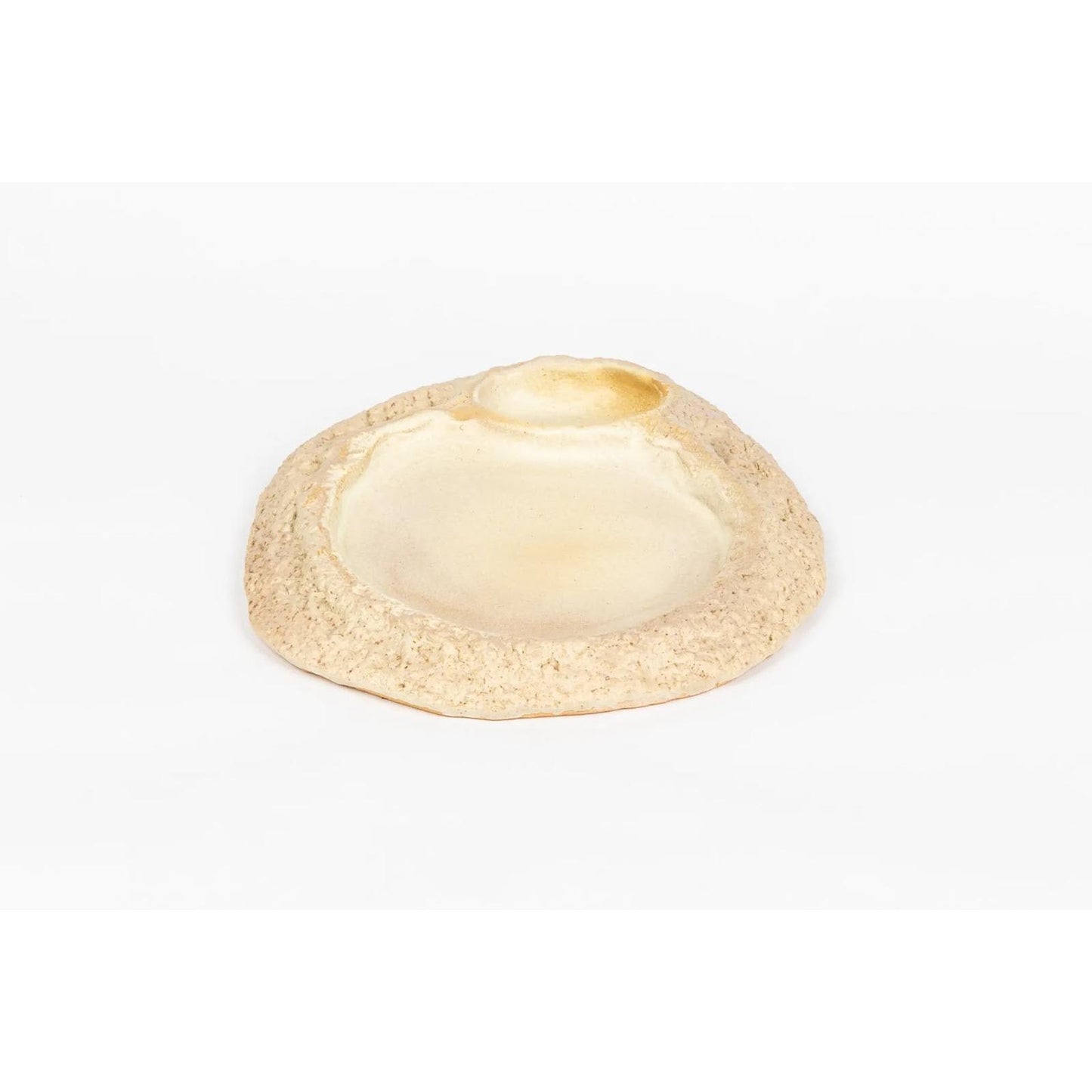 seaside-swim-in-shell-rough-edges