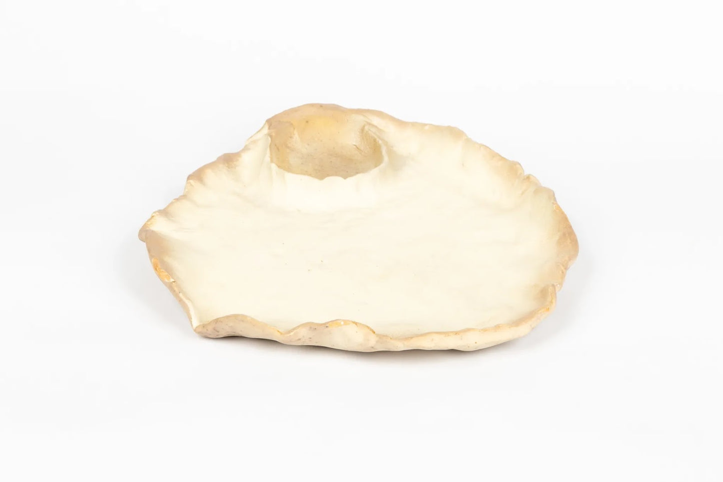 seaside-swim-in-shell-irregular-edges