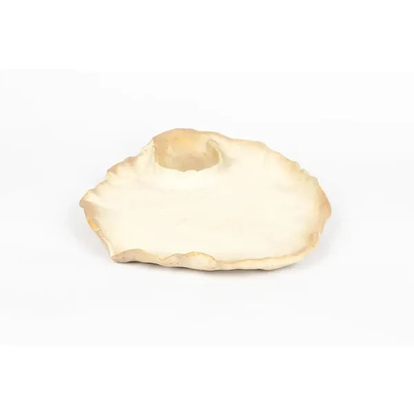seaside-swim-in-shell-irregular-edges