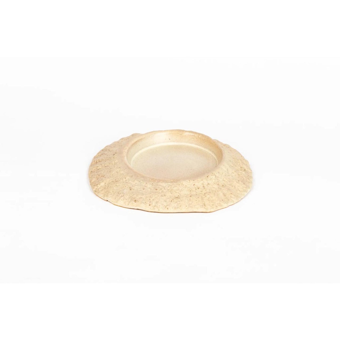 seaside-seashell-1