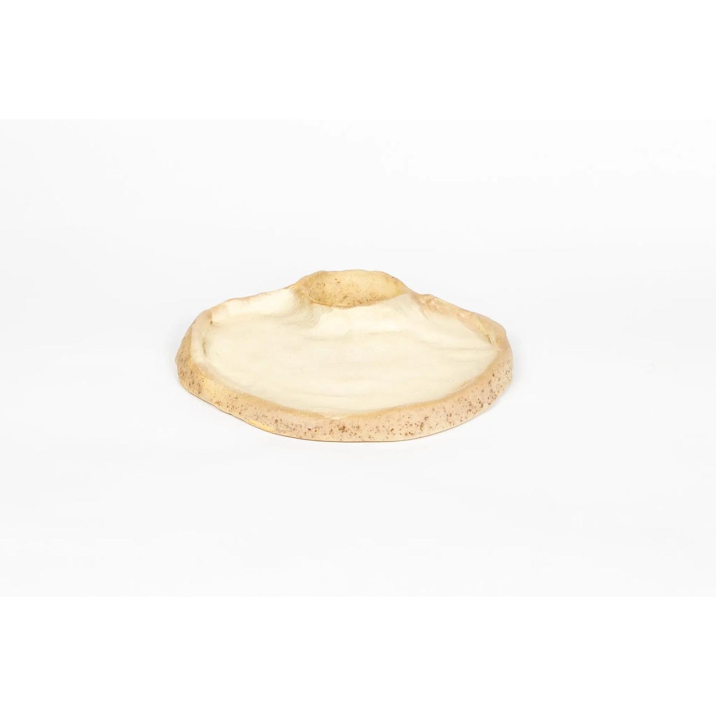 seaside-swim-in-shell-smooth