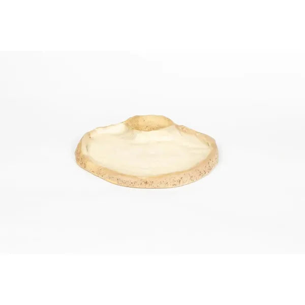 seaside-swim-in-shell-smooth
