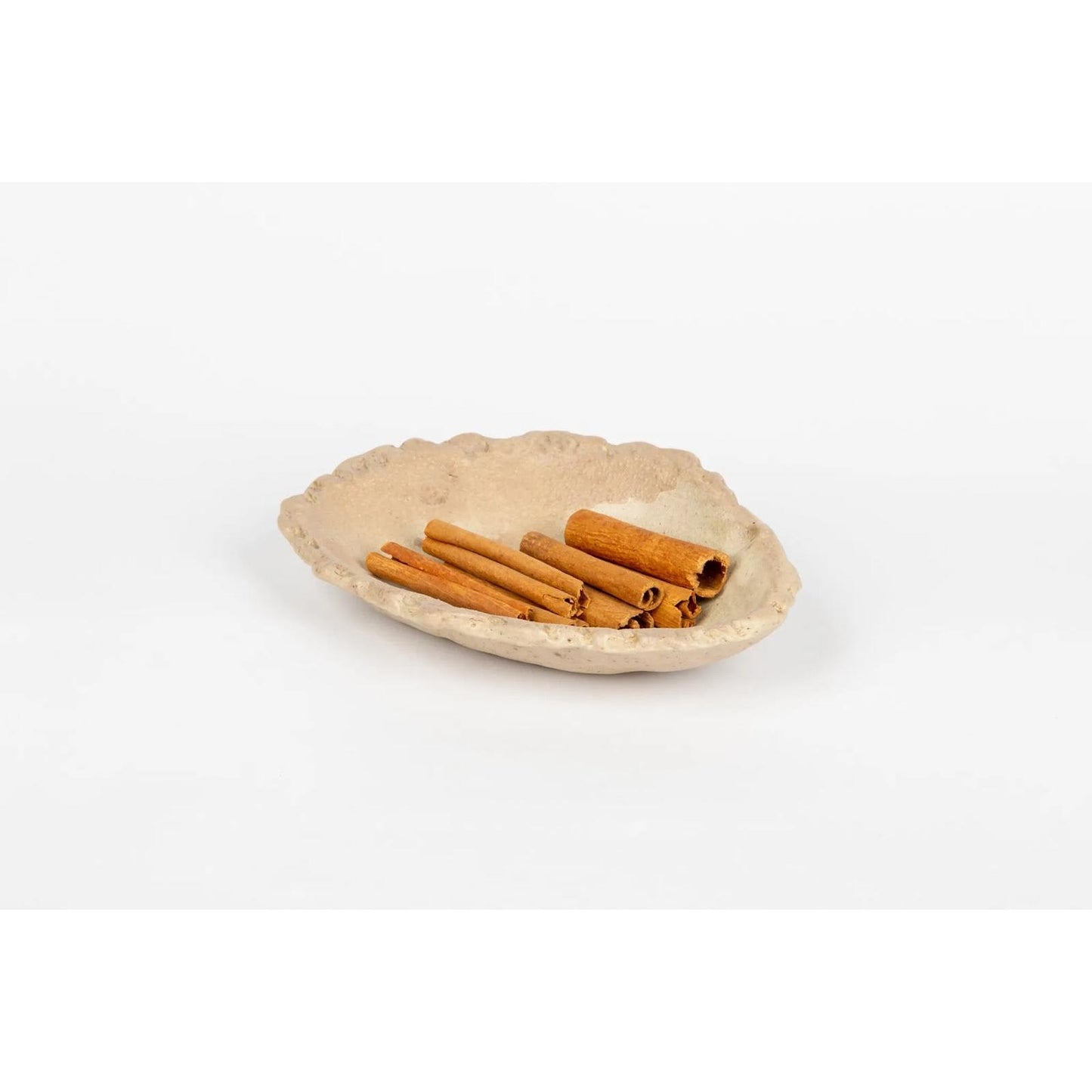 seaside-seashell-3