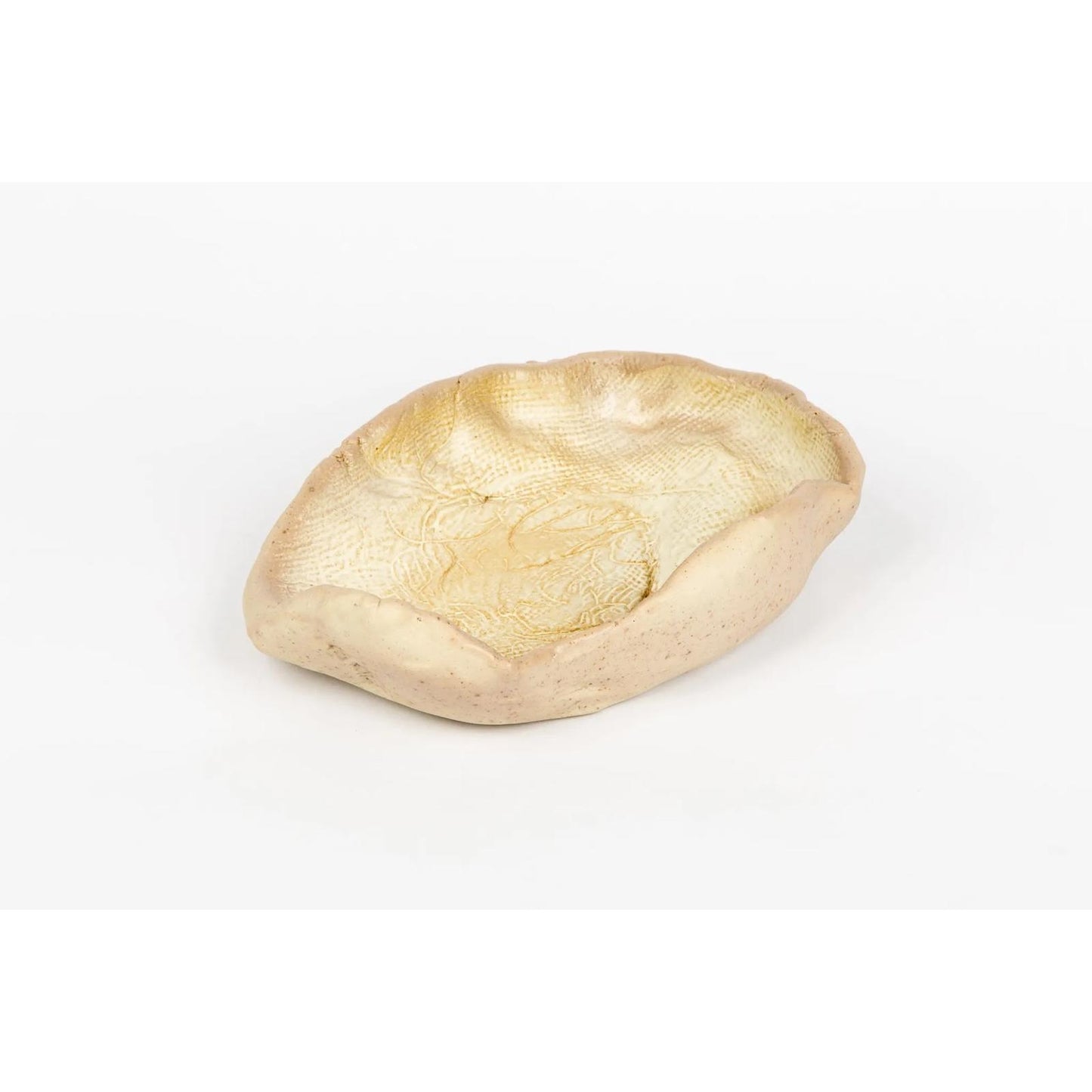 seaside-seashell-2
