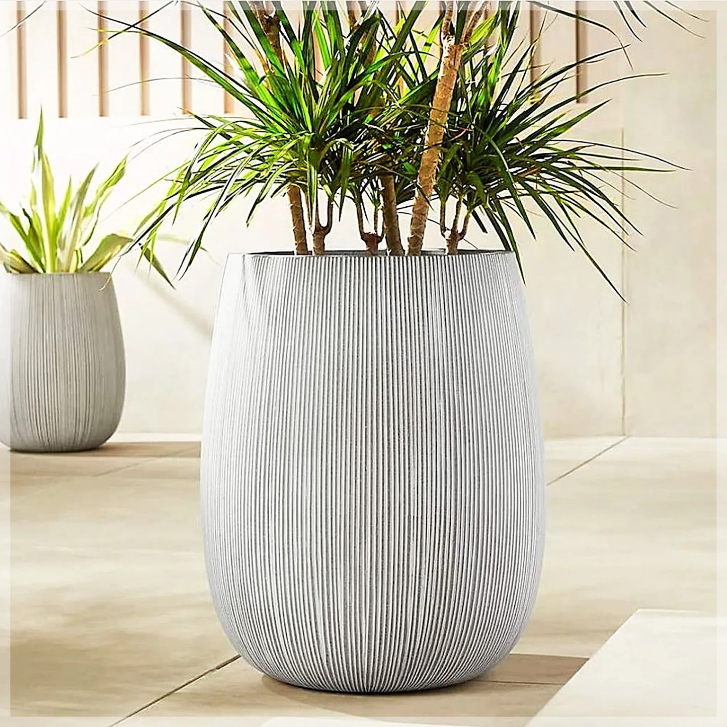 stone-pot