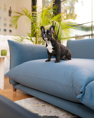 Big Cloud Sofa Big Cloud Sofa