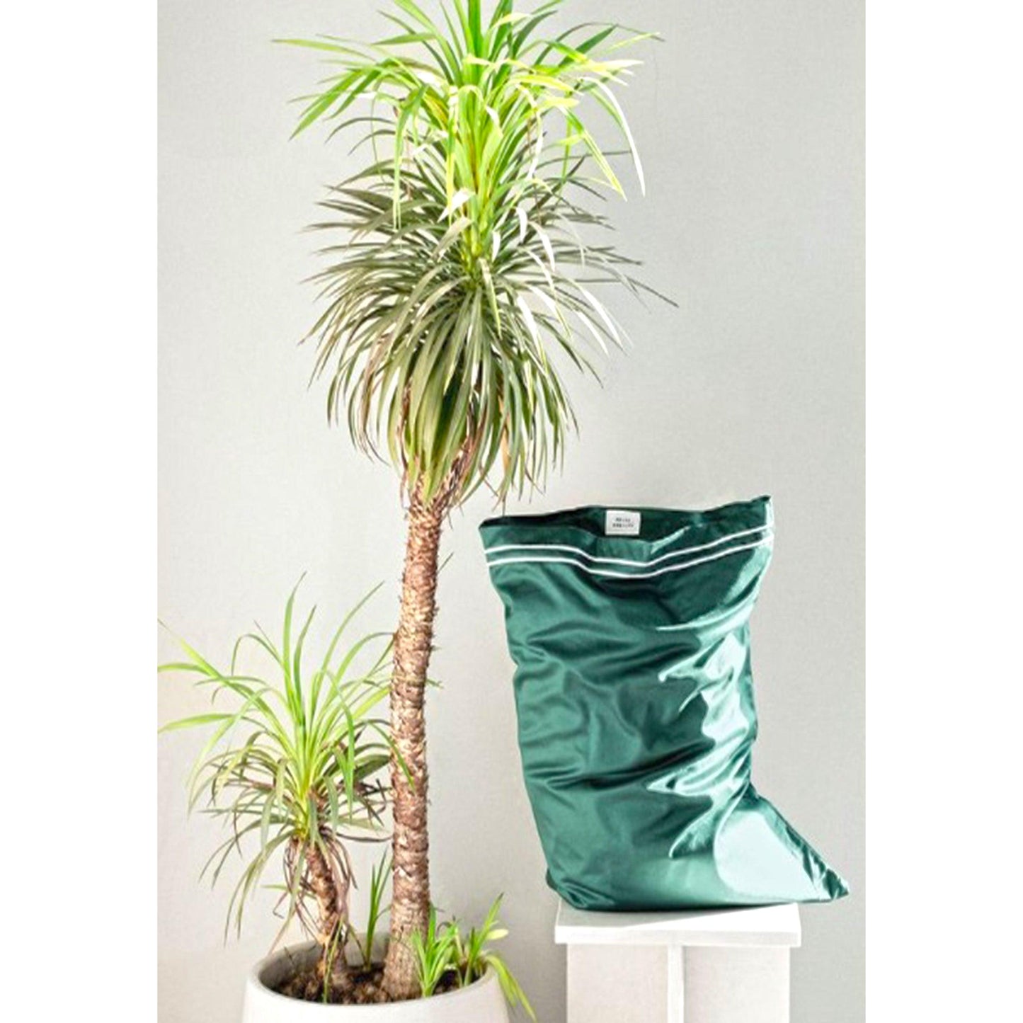 THE CAIRO COLLECTION | GREEN