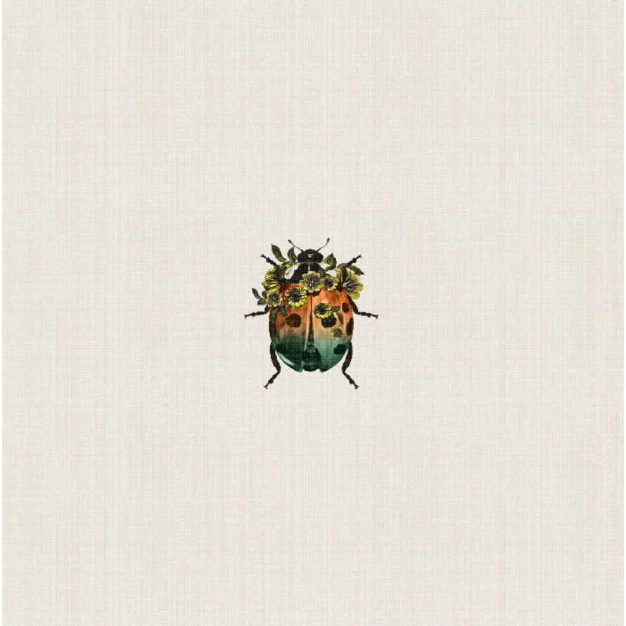The Ladybird Cushion