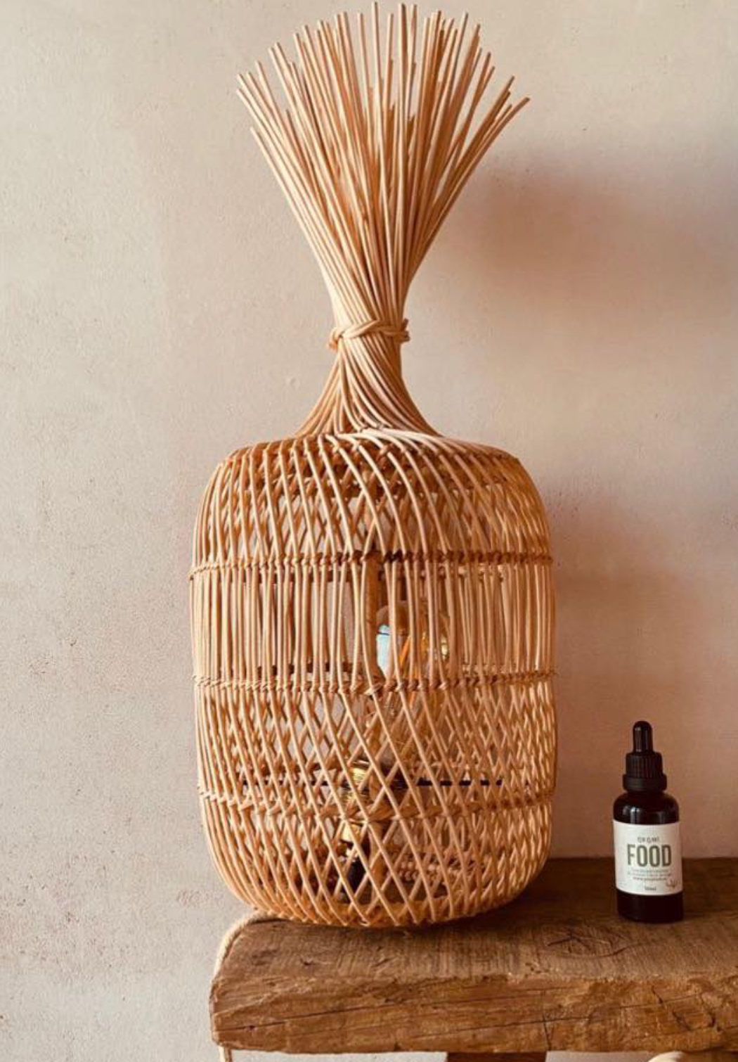 El Lazo Floor Lamp