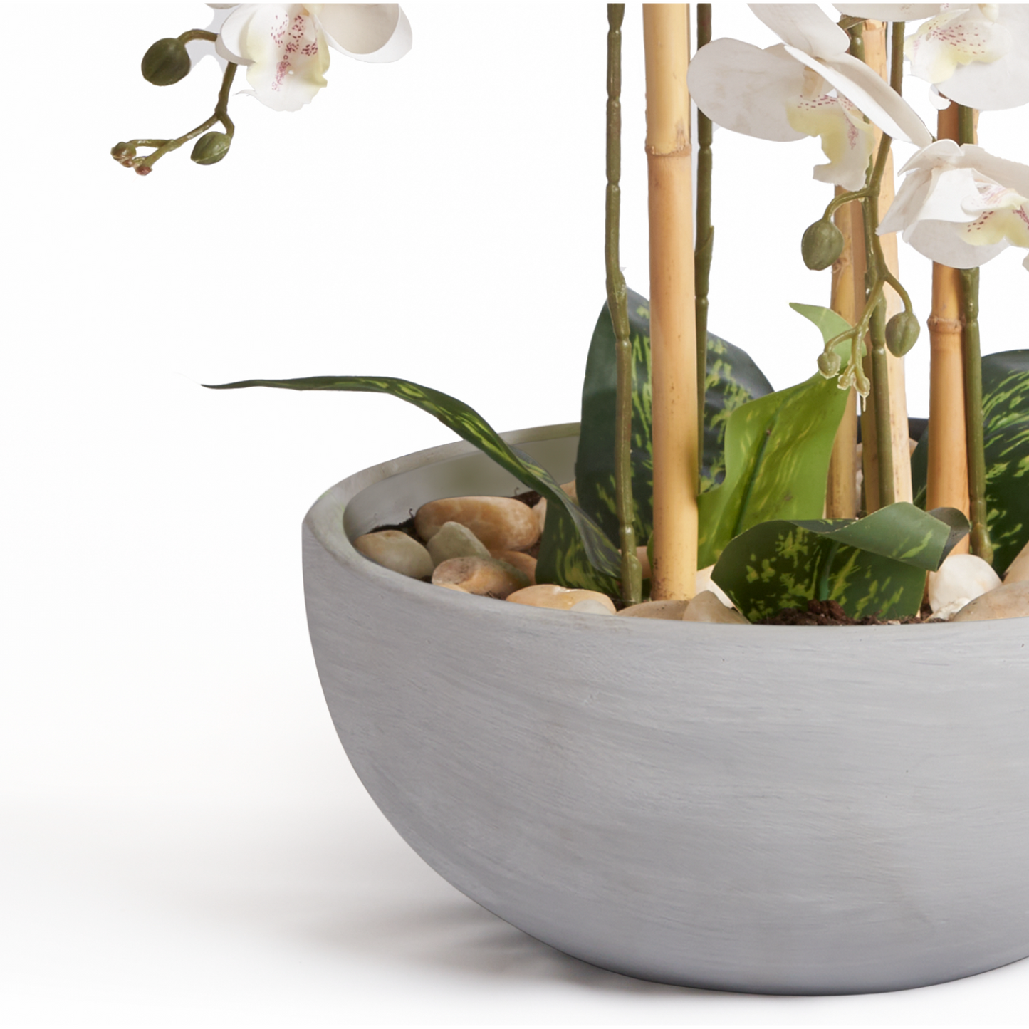 Orchids In Grey Pot - Medium