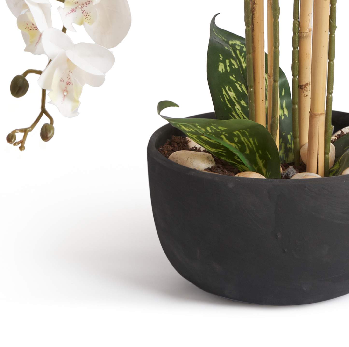 Orchids In Black Pot - Medium
