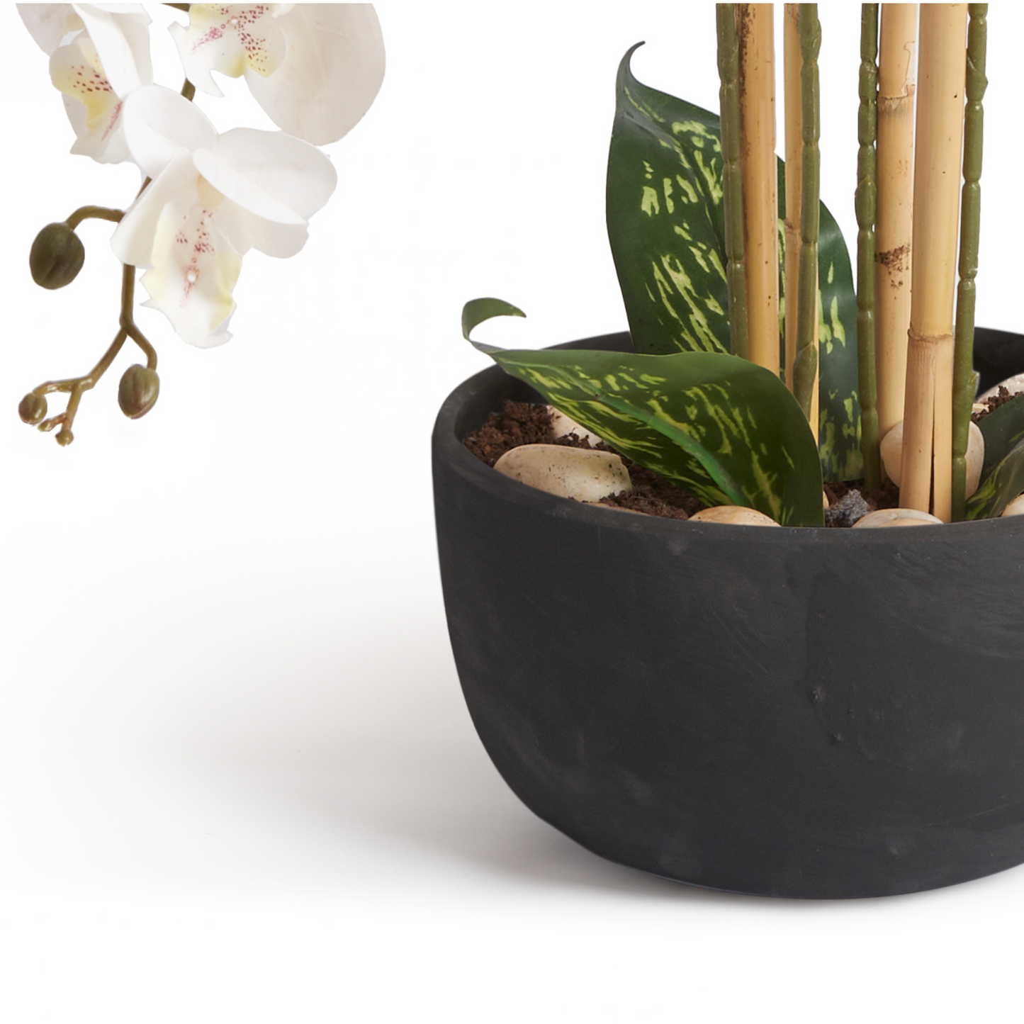 Orchids In Black Pot - Medium