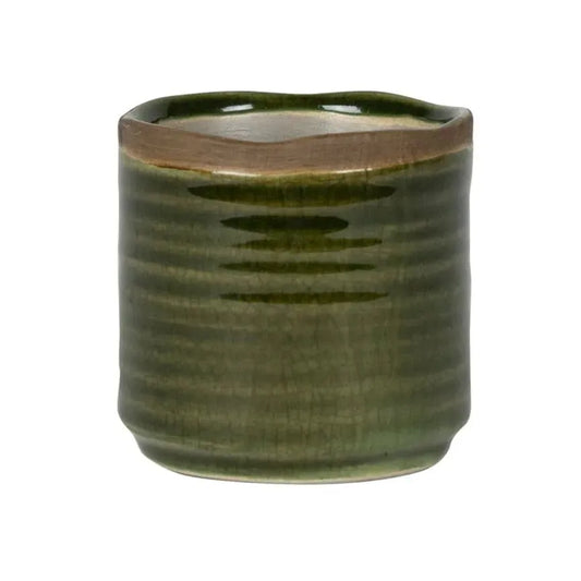 pot-jordy-forest