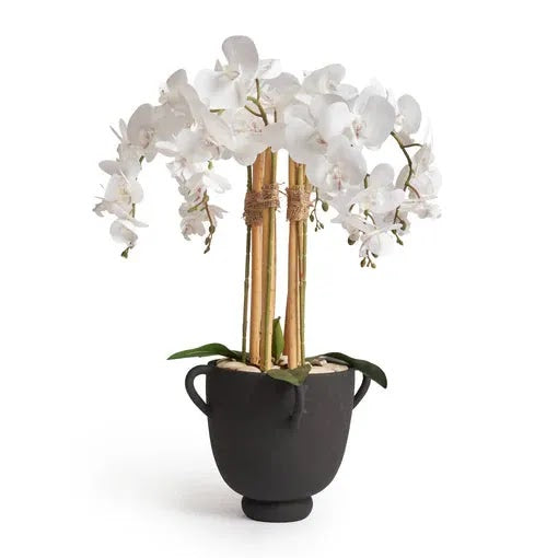 orchid-planter