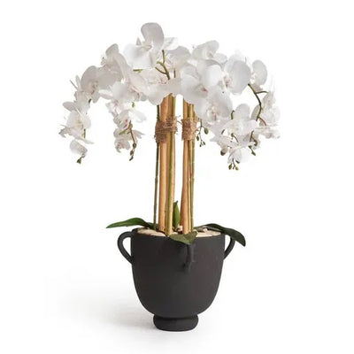 orchid-planter