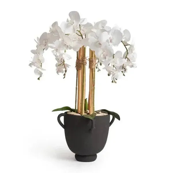 orchid-planter