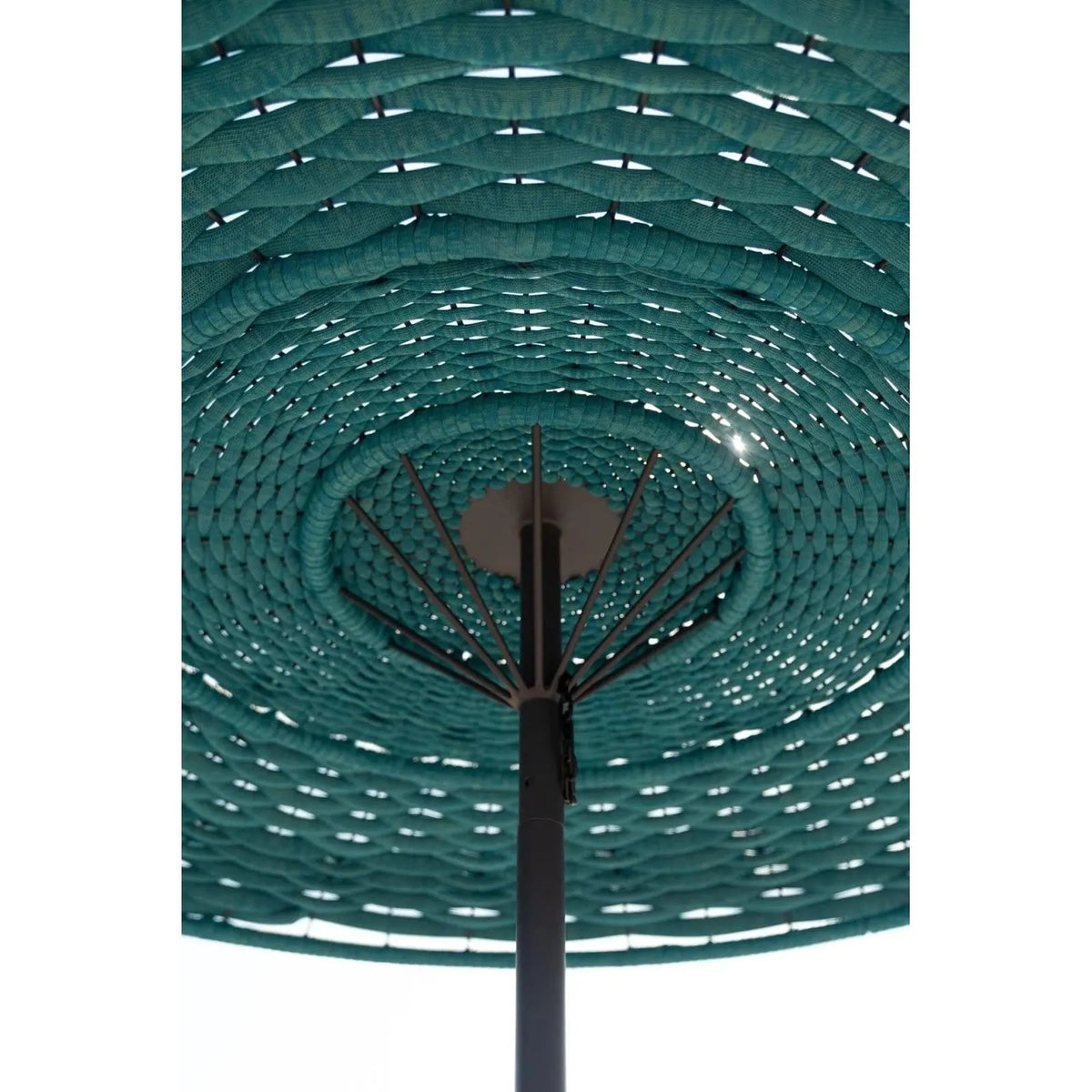 clam-parasol