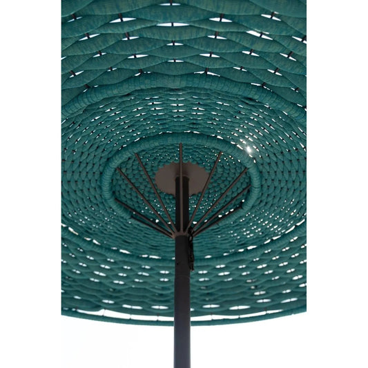 clam-parasol