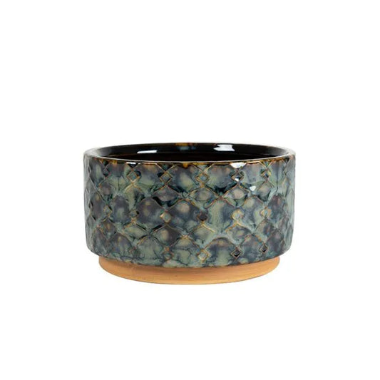 Mees Pot - Blooms and Beans- The Mob Collective