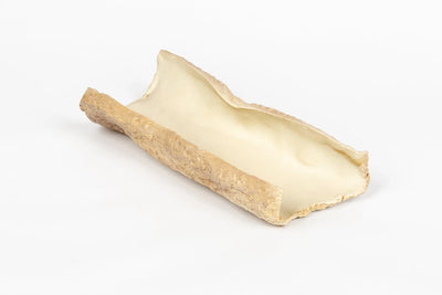 seaside-branch-tray