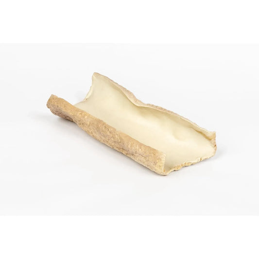 seaside-branch-tray