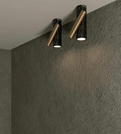 aimed-downlight