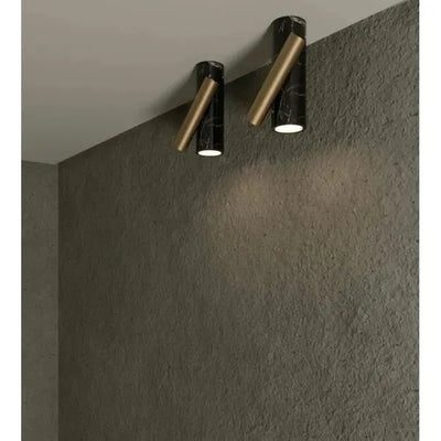 aimed-downlight