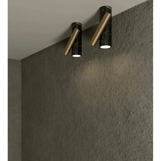 aimed-downlight