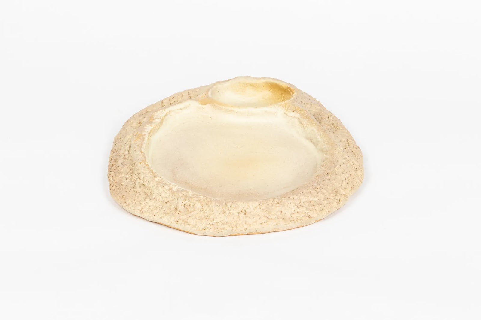 seaside-swim-in-shell-rough-edges