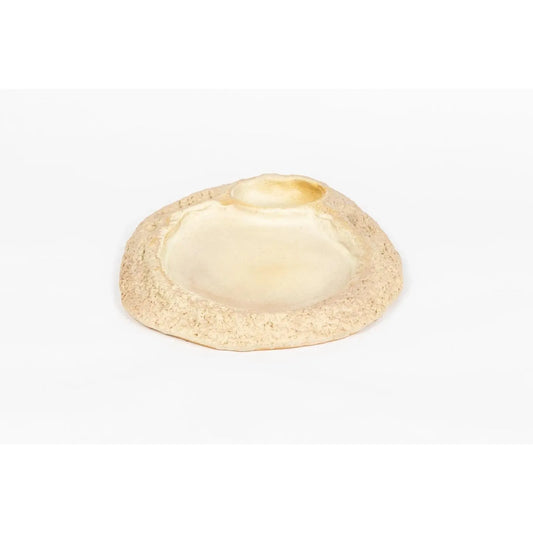 seaside-swim-in-shell-rough-edges
