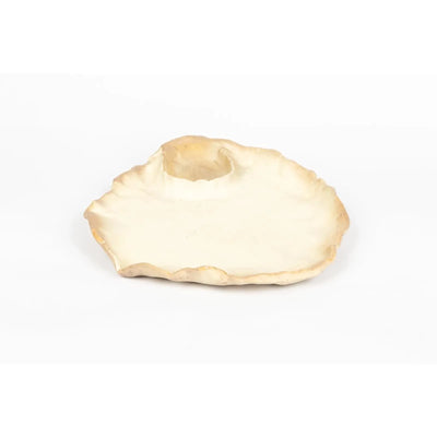 seaside-swim-in-shell-irregular-edges