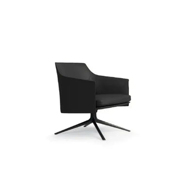poliform-stanford-lounge-chair