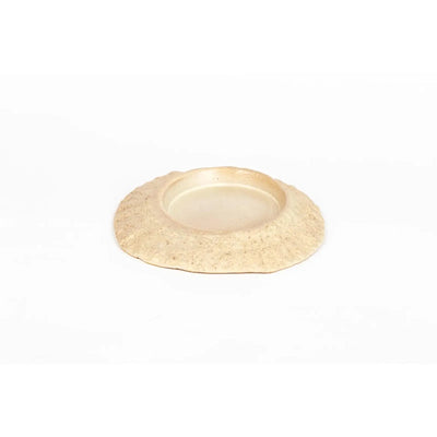 seaside-seashell-1