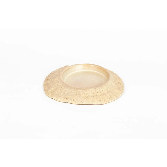 seaside-seashell-1