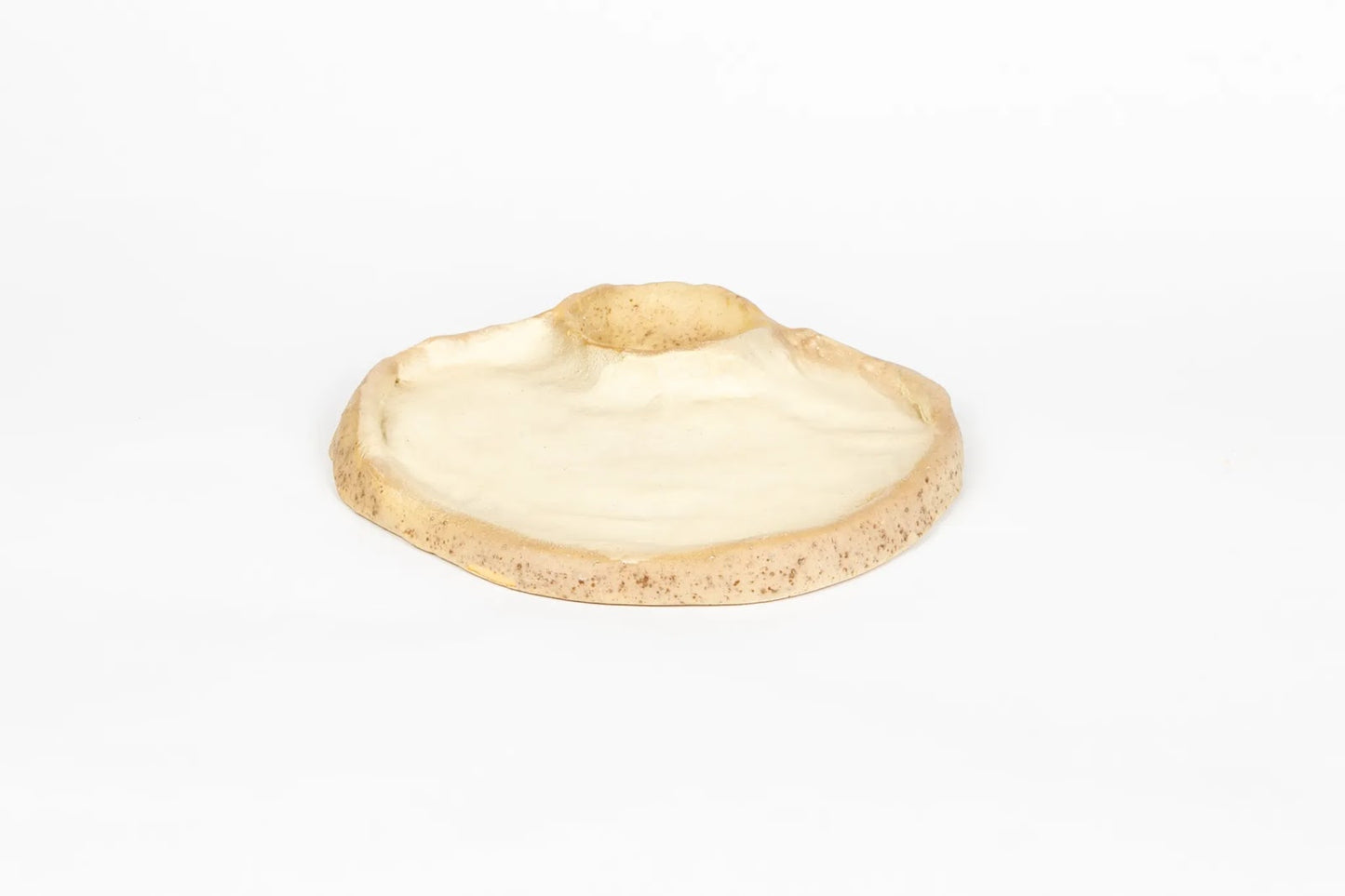 seaside-swim-in-shell-smooth
