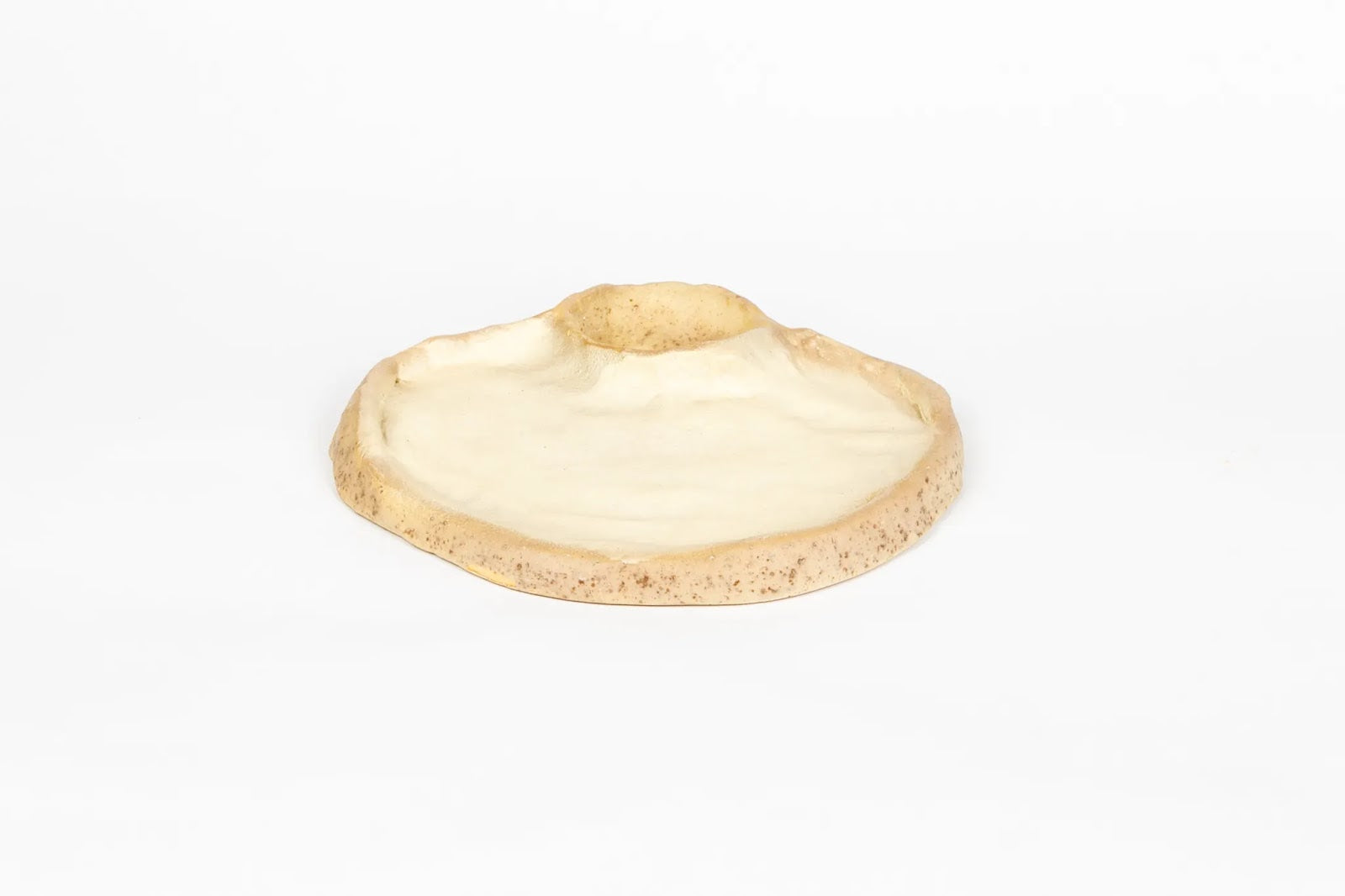 seaside-swim-in-shell-smooth
