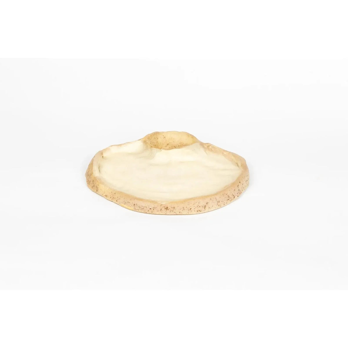 seaside-swim-in-shell-smooth