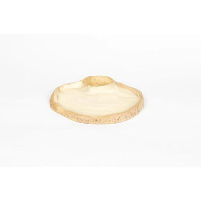 seaside-swim-in-shell-smooth