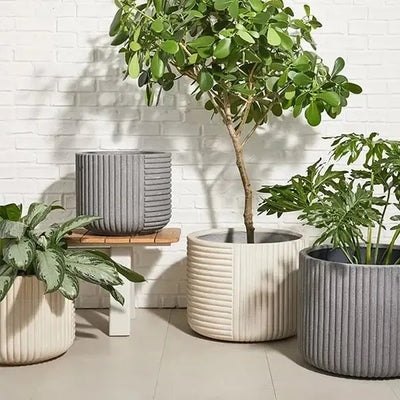 striped-cylinder