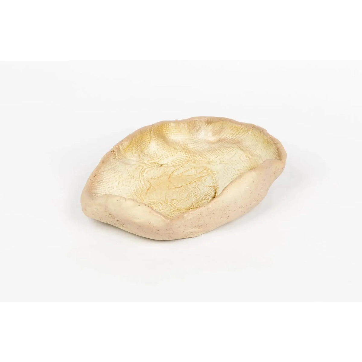 seaside-seashell-2