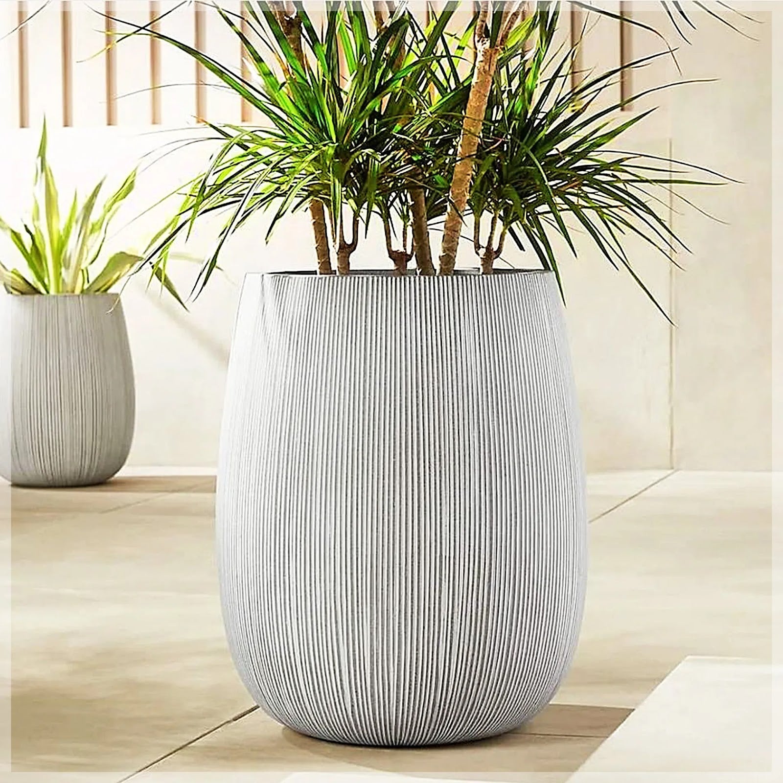 stone-pot