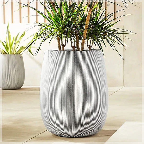 Pots & Planters
