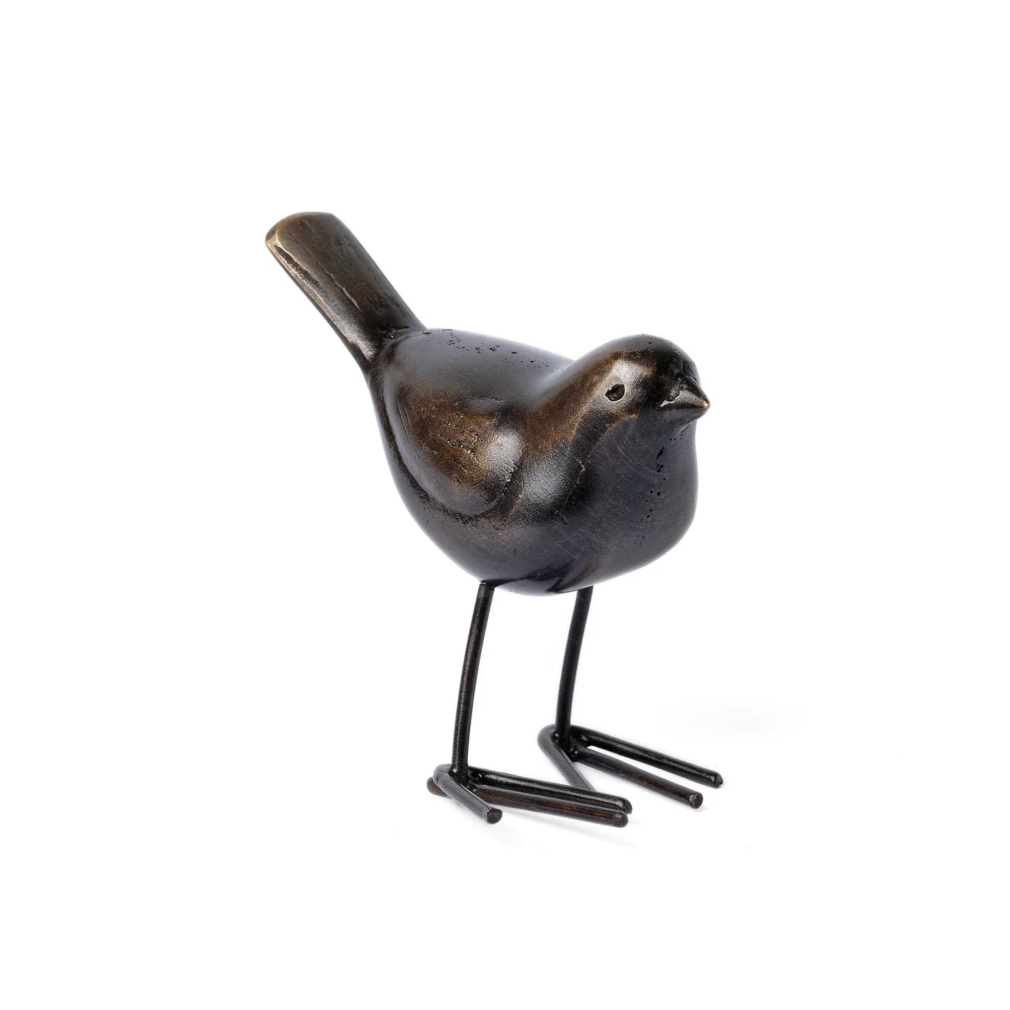 Canadian Birds