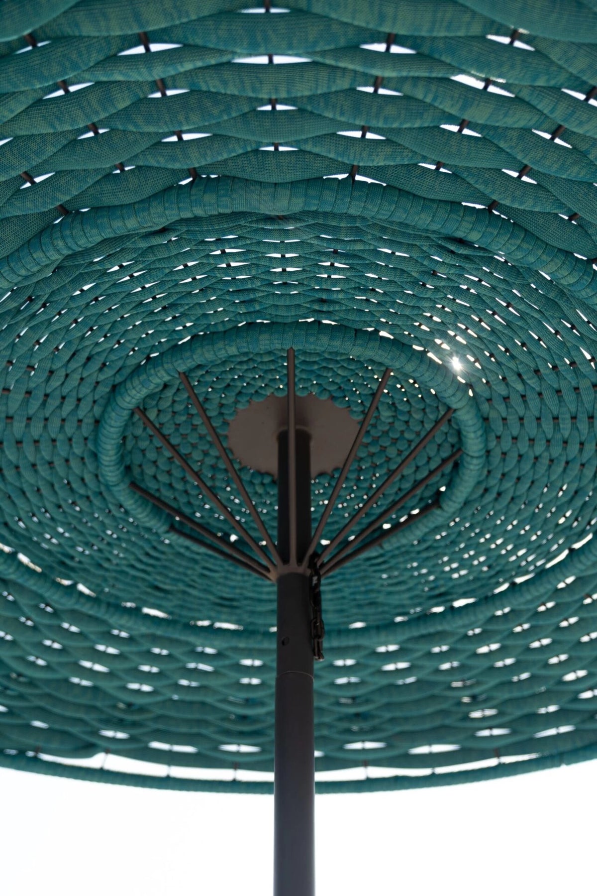 Clam Parasol