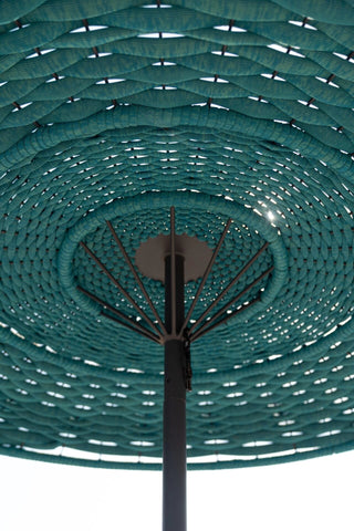 Clam Parasol