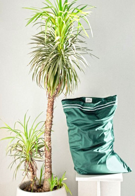 THE CAIRO COLLECTION | GREEN